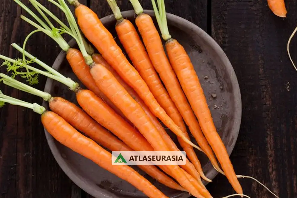 اسانس خوراکی - اسانس هویج